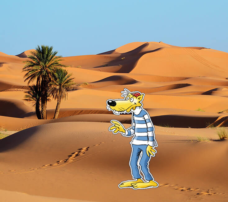 Hein Blöd in der Wüste